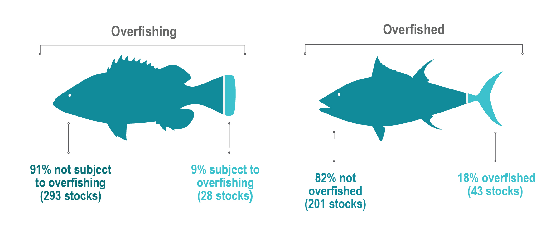 Of 321 stocks with known status, 293 (91%) are not subject to overfishing. Of 244 stocks with known status, 201 (or 82%) are not overfished, leaving 43 stocks (18%) listed as overfished.