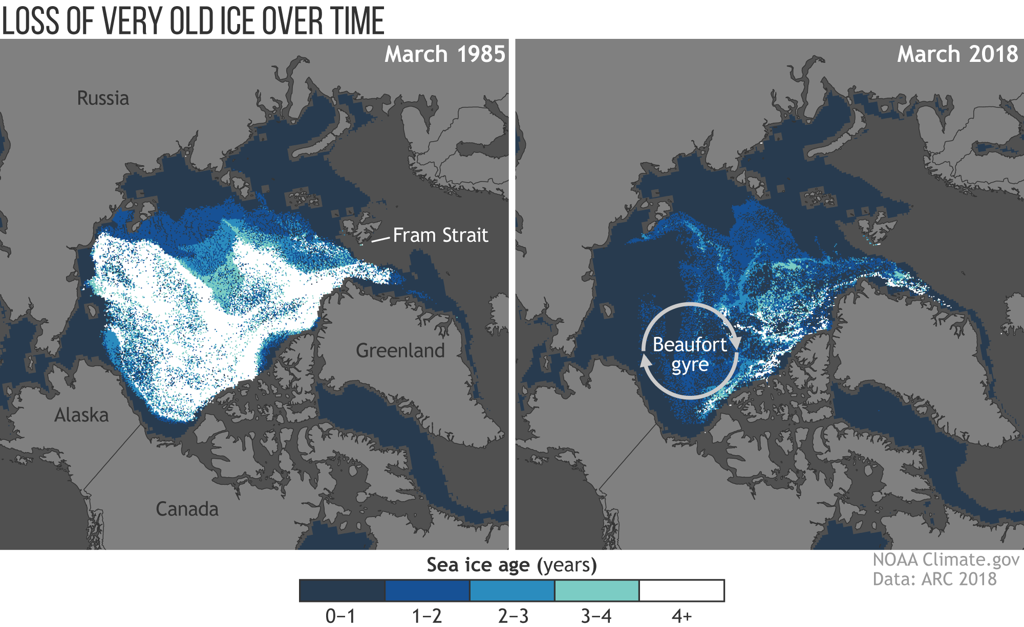 Declining Arctic sea ice: The 2018 Arctic Report Card found the Arctic region had the second-lowest overall sea-ice coverage on record. The map shows the age of sea ice in the Arctic ice pack in March 1985 (left) and March 2018 (right). Ice that is less than a year old is darkest blue. Ice that has survived at least 4 full years is white. Maps were provided by NOAA Climate.gov and based on data provided by Mark Tschudi./University of Colorado/CCAR.