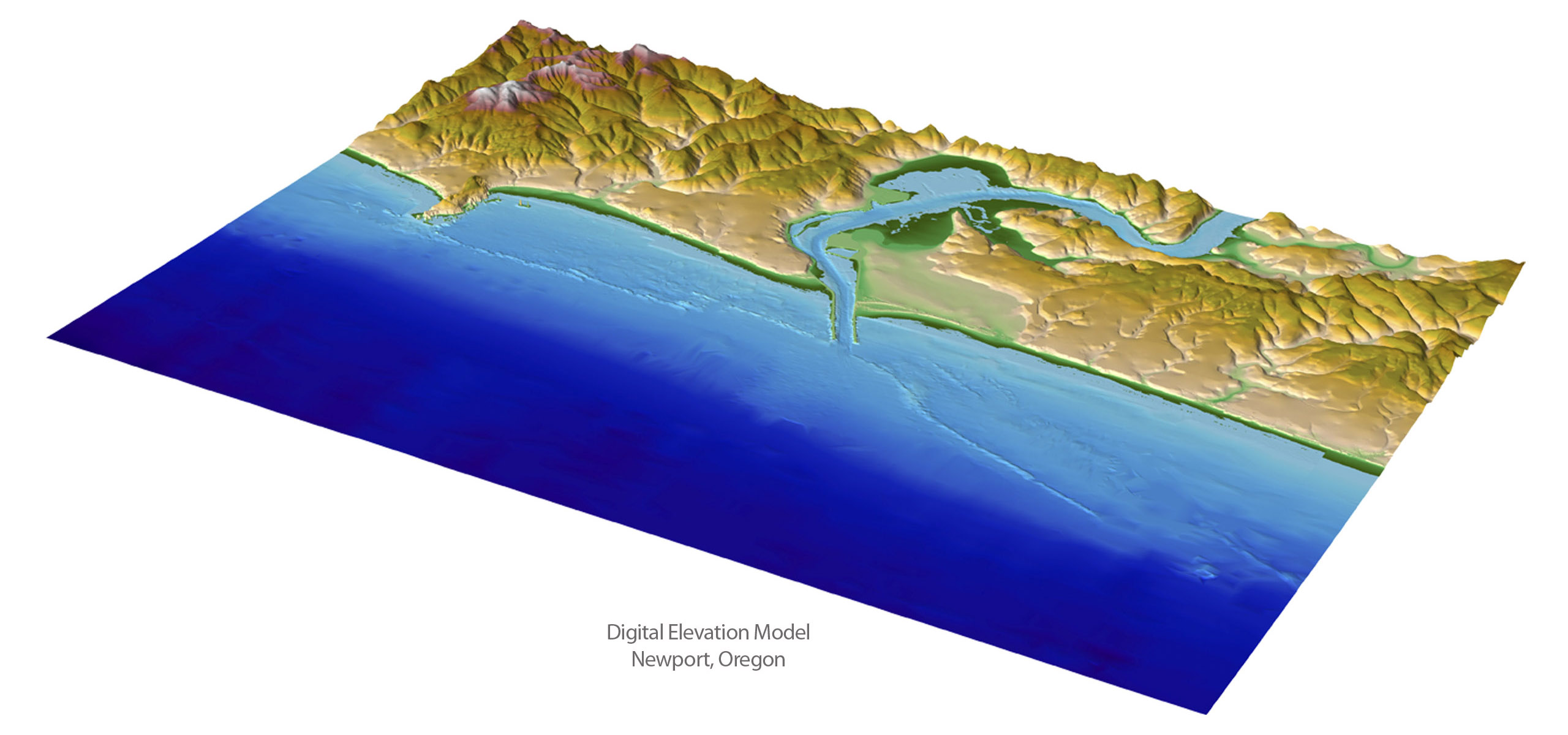 Digital Elevation Model for Newport, Oregon.