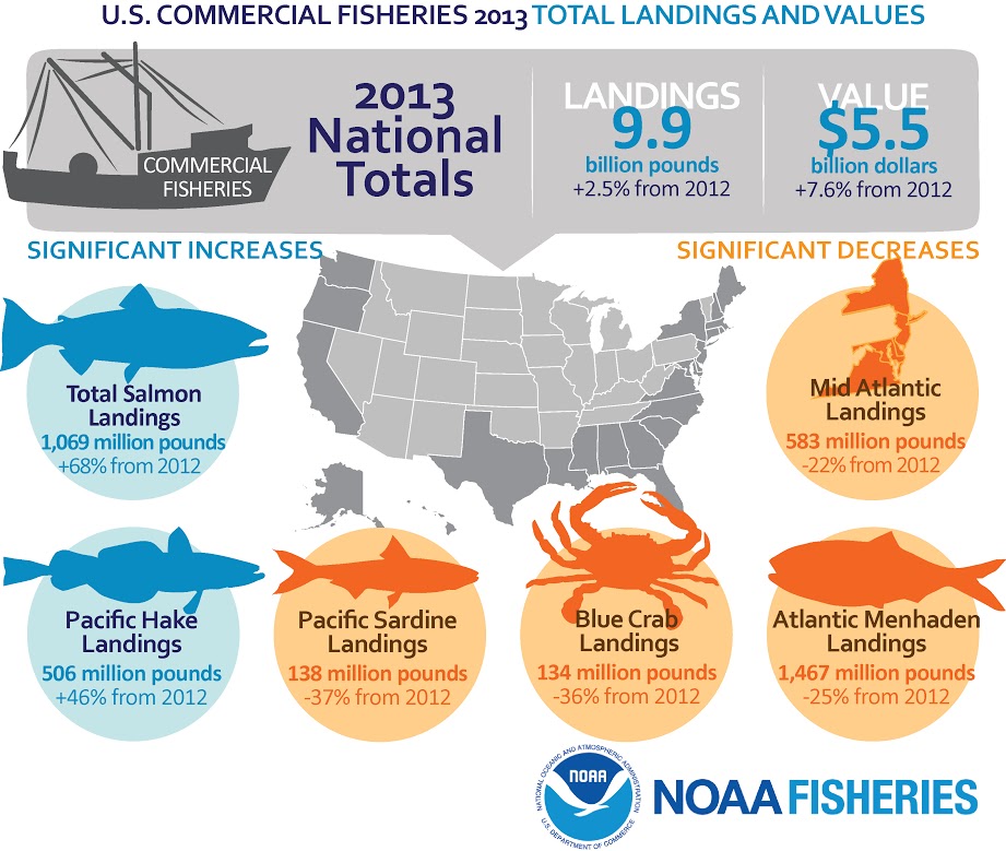 U.S. Commercial Fisheries 2013 - Total landings and values. 