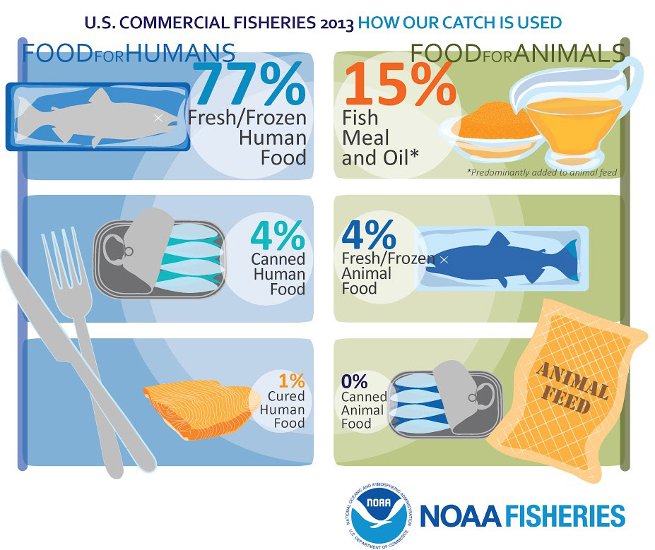 U.S. Commercial Fisheries 2013 - How our catch is used.
