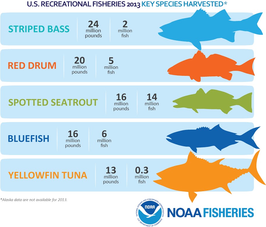 U.S. Recreational Fisheries 2013 - Key species harvested.