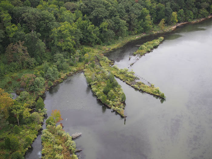 Mallows Bay in the Potomac River contains more than 100 known and still-to-be-discovered shipwrecks.