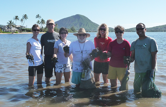Partner staff and volunteers help remove invasive algae from coral reefs in Hawaii. 