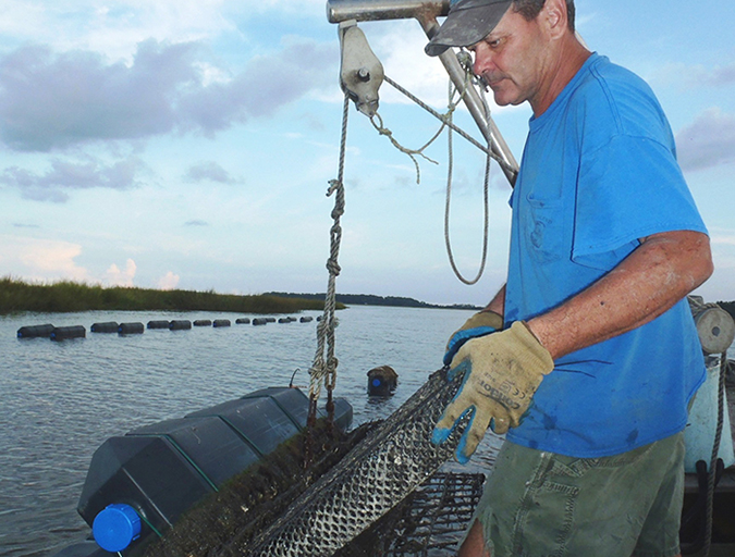 Frank Roberts flipping an oyster cage.