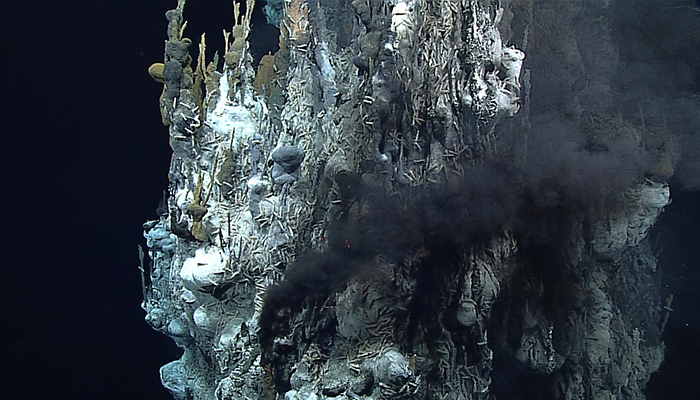 This gushing hydrothermal vent was captured on camera for the first time on May 1, 2016, during the Deepwater Exploration of the Marianas. The 30-meter-high underwater vent was spewing high-temperature liquid thick with metal particulates. The area around it is home to exotic species including Chorocaris shrimp, Munidopsis squat lobsters, Austinograea crabs, limpets, mussels and snails. 