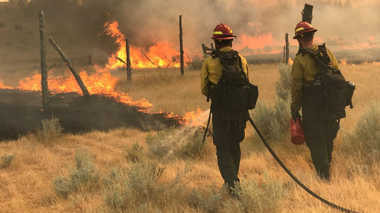 In July, Montana experienced it’s largest wildfire since 1910. At 271,000 acres, the Lodgepole Complex fire in the eastern part of the state was fueled by extreme drought conditions, ​dry lightning, ​increased wind and low relative humidity. The previous largest fire in the area was 135,000 acres in 2006.