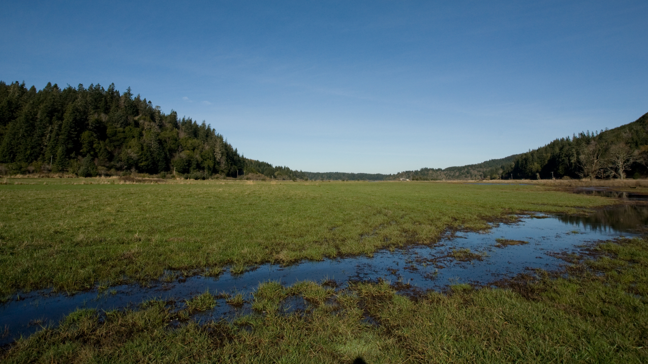 Projects will create habitat for protected species, like this project in Oregon that restored estuary and wetland habitat critical to Oregon Coast chinook and coho salmon.