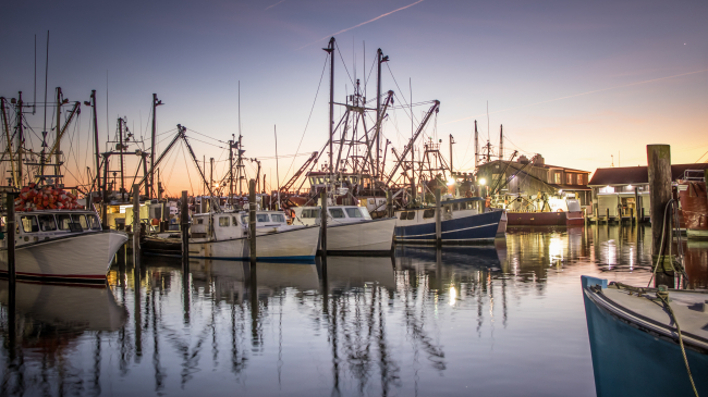 Commercial fishing boats in port at Barnegat Light, New Jersey. Undated istock image.