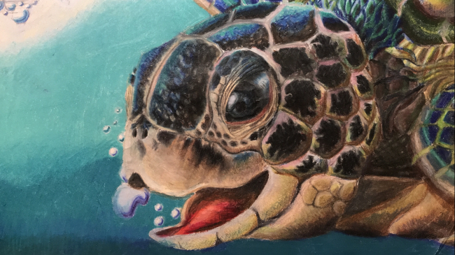 Artwork of a Green sea turtle face with its mouth agape.