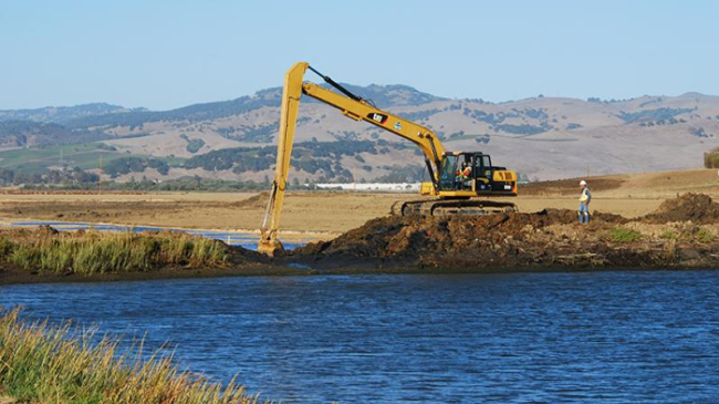 Tidal wetland restoration in California.