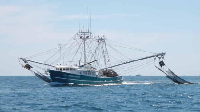 Photo of a shrimp boat trawling for shrimp in the Gulf of Mexico. Credit: Brendan Turley, NOAA Fisheries.