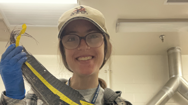 Courtney poses in a lab, smiling and holding a gray, crescent shaped plate of whale baleen that appears to be a few feet long in her gloved hands. The baleen plate looks hard and fibrous.