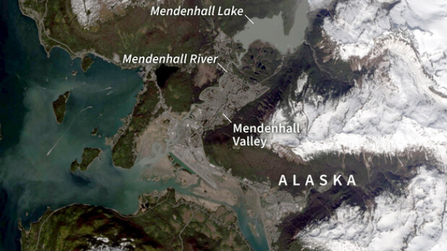 The Mendenhall Glacier fills a large valley north of Juneau, Alaska, and creates an ice dam for a meltwater lake that fills Suicide Basin. Since 2011, outburst floods from the depression have been pouring into Mendenhall Lake and rushing down the river toward Juneau on a yearly basis. NOAA Climate.gov image, based on Landsat satellite data from May 20, 2019.