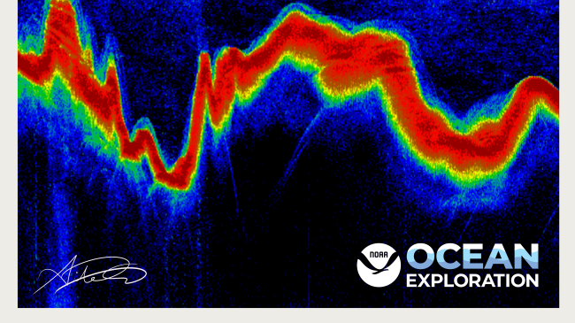 A digitally illustrated poster that shows a water column represented as visually noisy acoustic data. On top of the water, a NOAA vessel rests in the water. The deep scattering layer is drawn about a third of the way down the water column. Towards the bottom of the poster, the backscattering response implies sea floor bathymetry that varies in depth. An ROV located in the deep scattering layer is connected by a wire to the NOAA vessel. Gelatinous marine organisms are drawn in the ROV's line of sight.