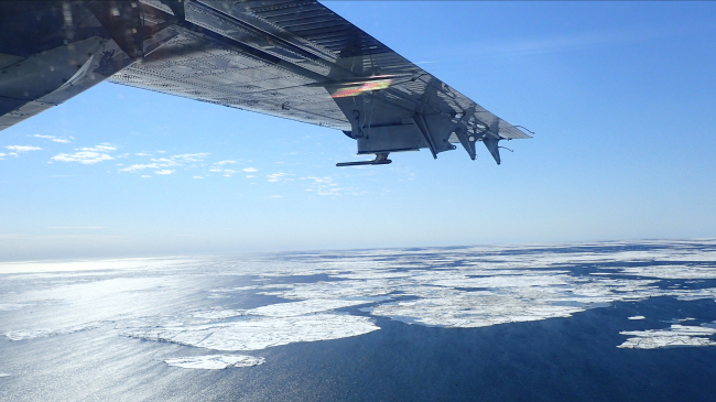 Melting sea ice in the Chukchi Sea as viewed by scientists from a NOAA Twin Otter airplane. Instruments were deployed during this mission to measure Arctic ocean temperatures. Credit: NOAA/ Leah Chomiak, Hollings Scholar