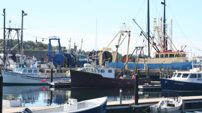 Fishing boats in New Bedford Harbor, Massachusetts.