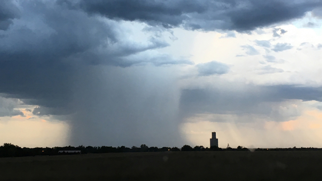 A curtain of rain falls from dark clouds during an evening storm near Ransom, Kansas. 