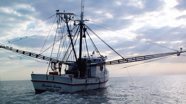A commercial shrimp vessel off the coast of Florida.