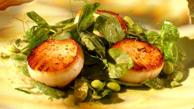 Studies show that regularly eating seafood, like these seared sea scallops, can benefit your health.   