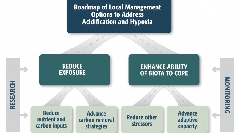 Recommendations set forth by the West Coast Ocean Acidification and Hypoxia Science Panel will help coastal managers improve their communities' resilience to ocean health threats