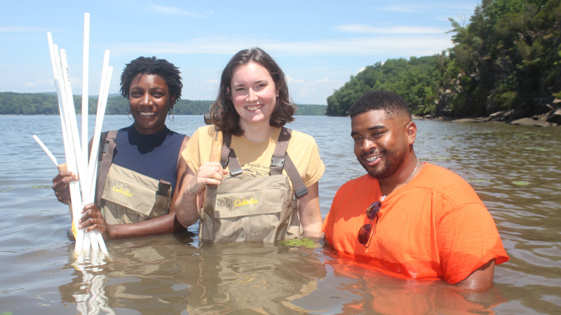 Ashawna Abbott, Aidan Mabey, and Martice Smith pose for a photo as they set up submerged aquatic vegetation plots in the Hudson River National Estuarine Research Reserve. These young professionals currently work to understand and protect the estuary through the Student Conservation Association, but their journeys with the reserve began in high school. Each of them participated in the reserve’s high school programs, either as volunteers or as student researchers. Now, they serve as mentors in the same