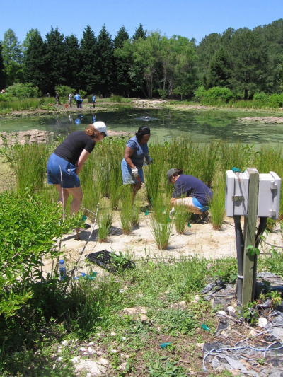 Determining what are some of the best ways to restore and protect critical coastal habitat is a key research question for this round of NOAA RESTORE Science grant funding.
