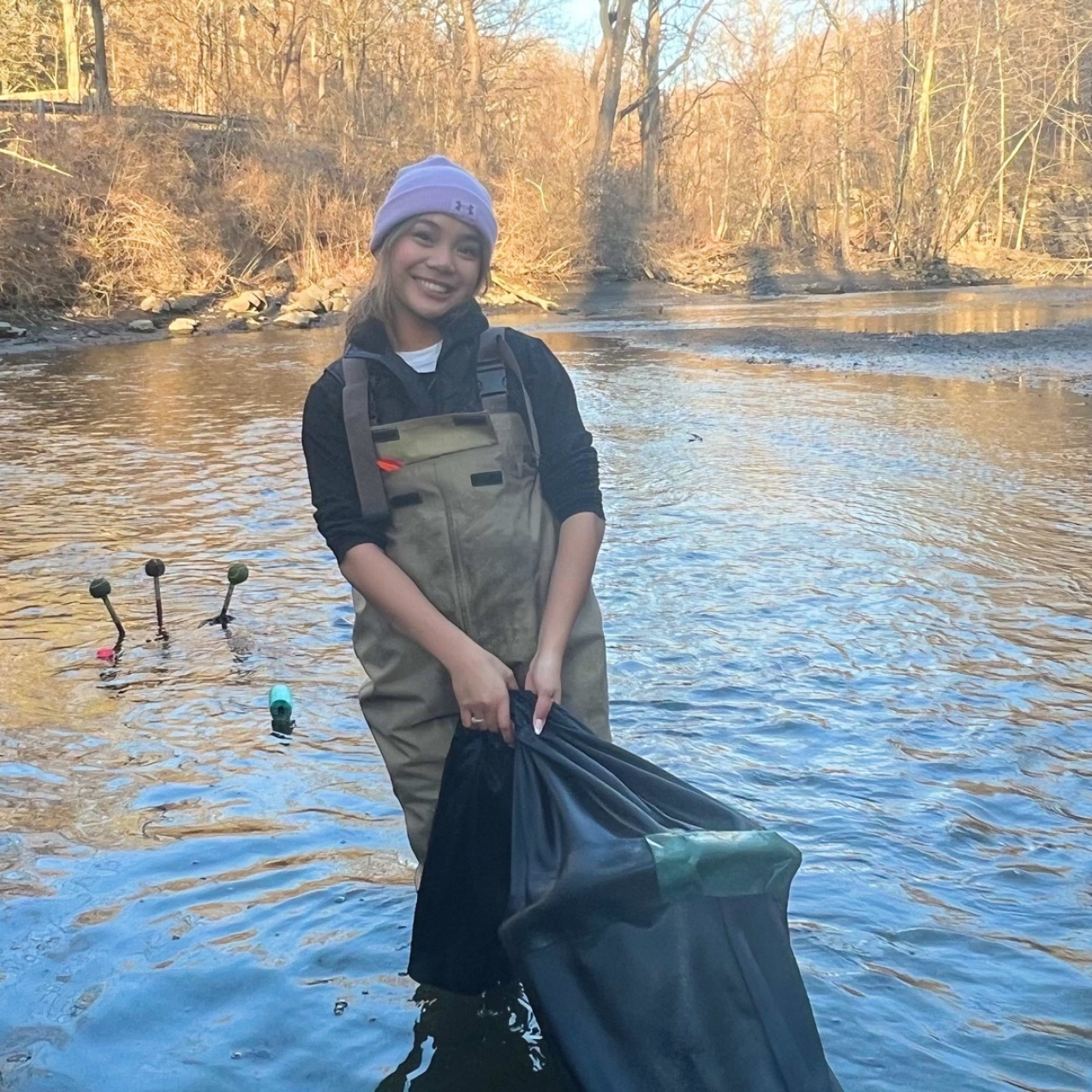 Eva Lagdamen is staning in a river with relatively still water holding a large black nylon bag that is used to capture glass eels for counting. She is surrounded by a few rocks, as well as bare brush in the background. She is wearing a purple beanie, a black sweatshirt, and brown waders.