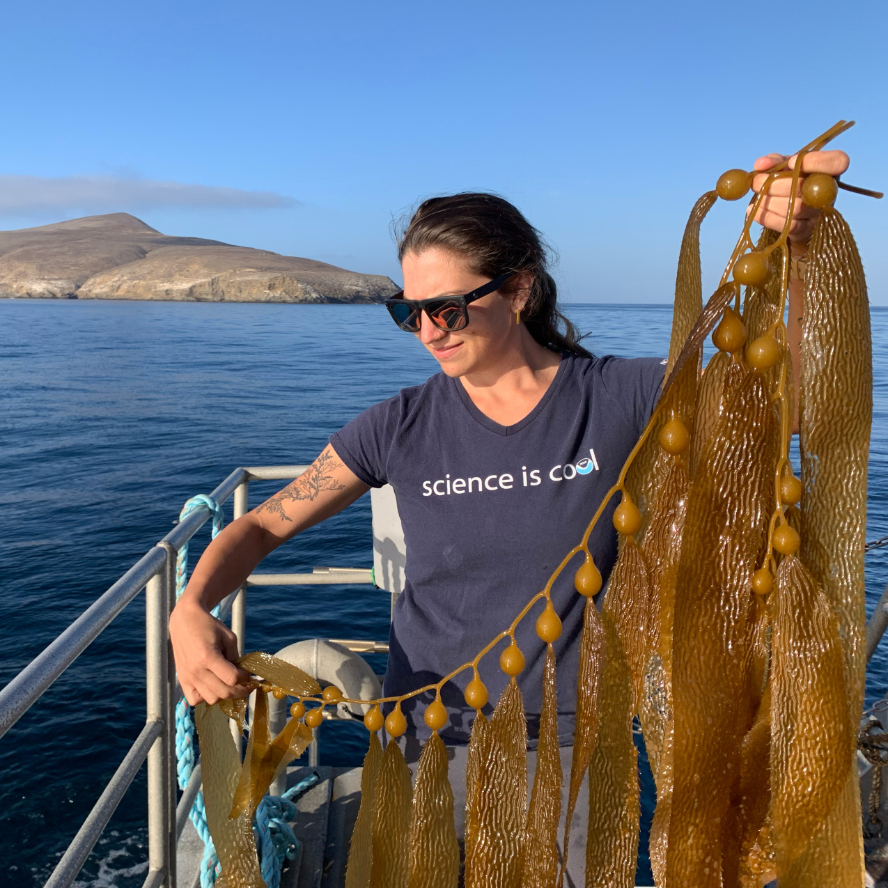 Natalie Dornan holds up a large piece of kelp while standing on the back of a ship. She is wearing sunglasses and a shirt that reads, “Science is Cool.” Santa Barbara Island is in the background on a very flat and calm day on the water in NOAA's Channel Islands National Marine Sanctuary.