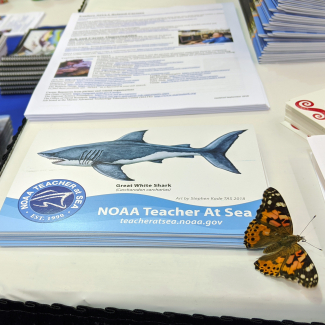 A painted lady butterfly rests on a flyer on a table full of educational materials at a conference.