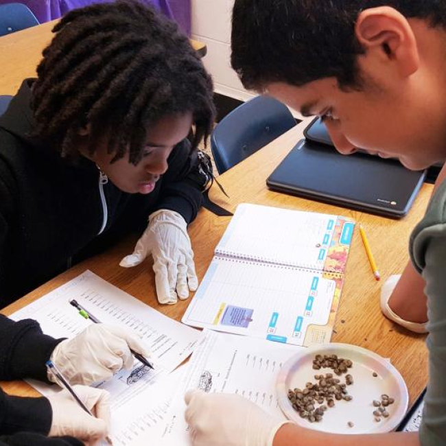 Hampton City Schools (Virginia) students track information about oysters they are growing in a project supported by Chesapeake B-WET.