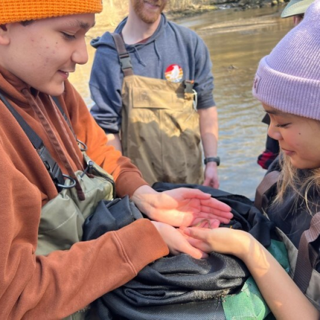 Volunteers Eva Lagdamen and Benjamin Sankar are standing in the waters of an estuary, wearing waders, and show the camera a small eel, approximately the length of a finger, that they found in the river.