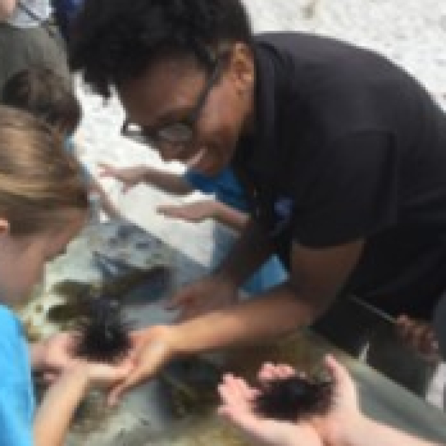 Michelle is smiling, leaning over a touch tank and holding an urchin in her palm for a child to look at.