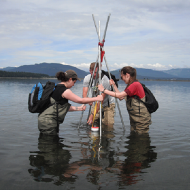 (Left to Right) Alena Reynolds (Western Washington University), Dr. Jude Apple (mentor) and Hollings Scholar Danielle Siegert conducting field studies at Padilla Bay National Estuarine Research Reserve in Washington.