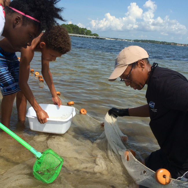 NOAA staff members joins 2 students in the water to try to grab a sample. NOAA staff holds a net in the water, one student holds a smaller handheld net for scooping, and another student holds a bucket.