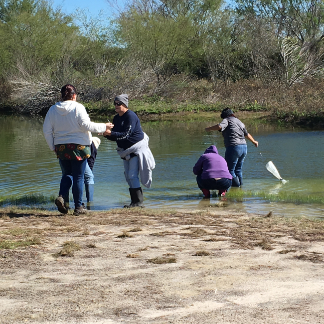 Teachers at the Mission Aransas National Estuarine Research Reserve collecting plankton as part of the University of Houston Victoria B-WET supported Meaningful Watershed Educational Experience.