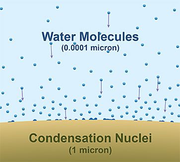 The relative size of water molecules (0.0001 micron) to condensation nuclei (1 micron).