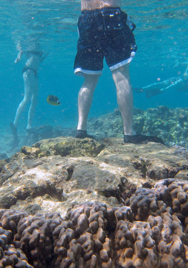 Person stepping on corals.