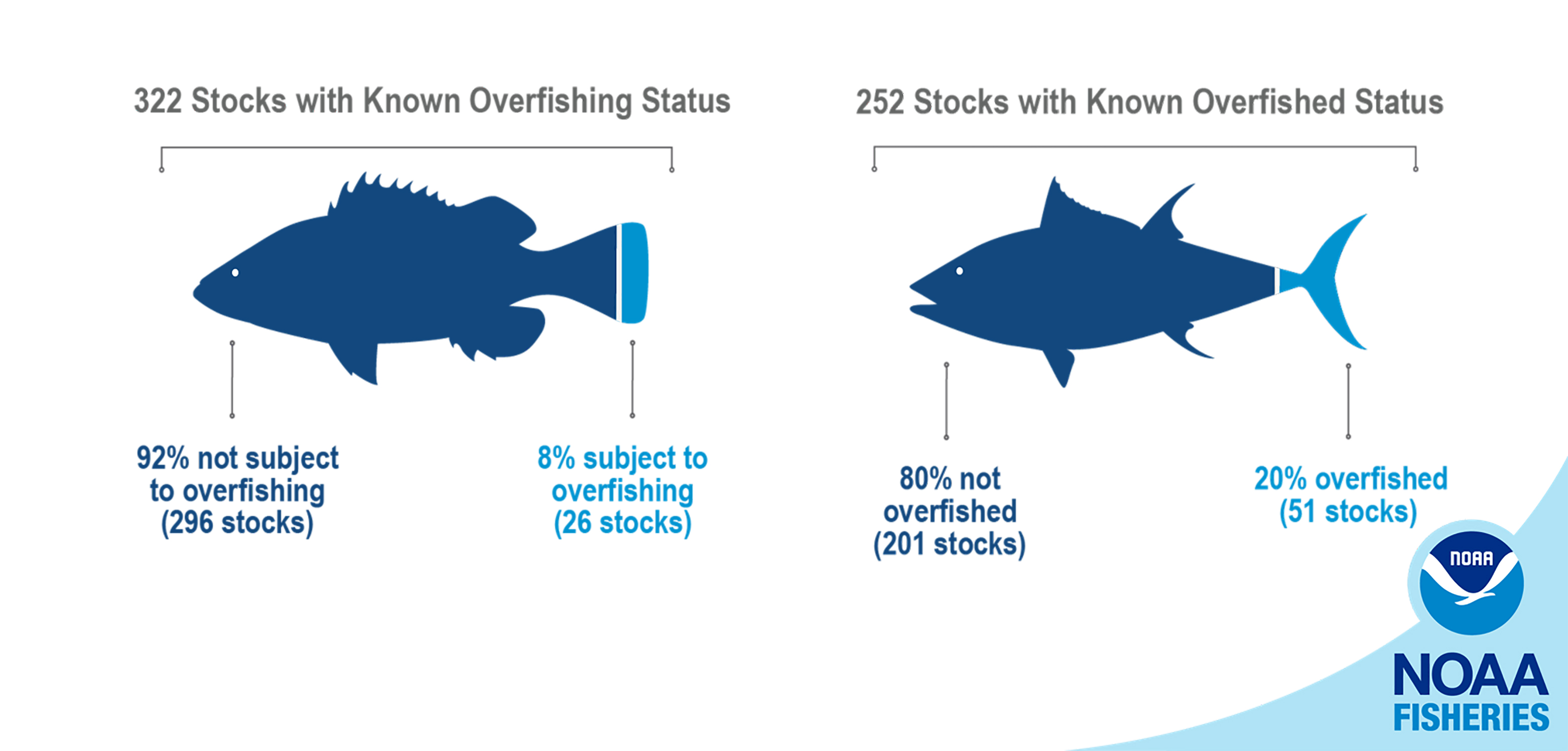 Of the more than 460 stocks managed by NOAA, 322 have a known overfishing status (296 not subject to overfishing and 26 subject to overfishing) and 252 have a known overfished status (201 not overfished and 51 overfished). 