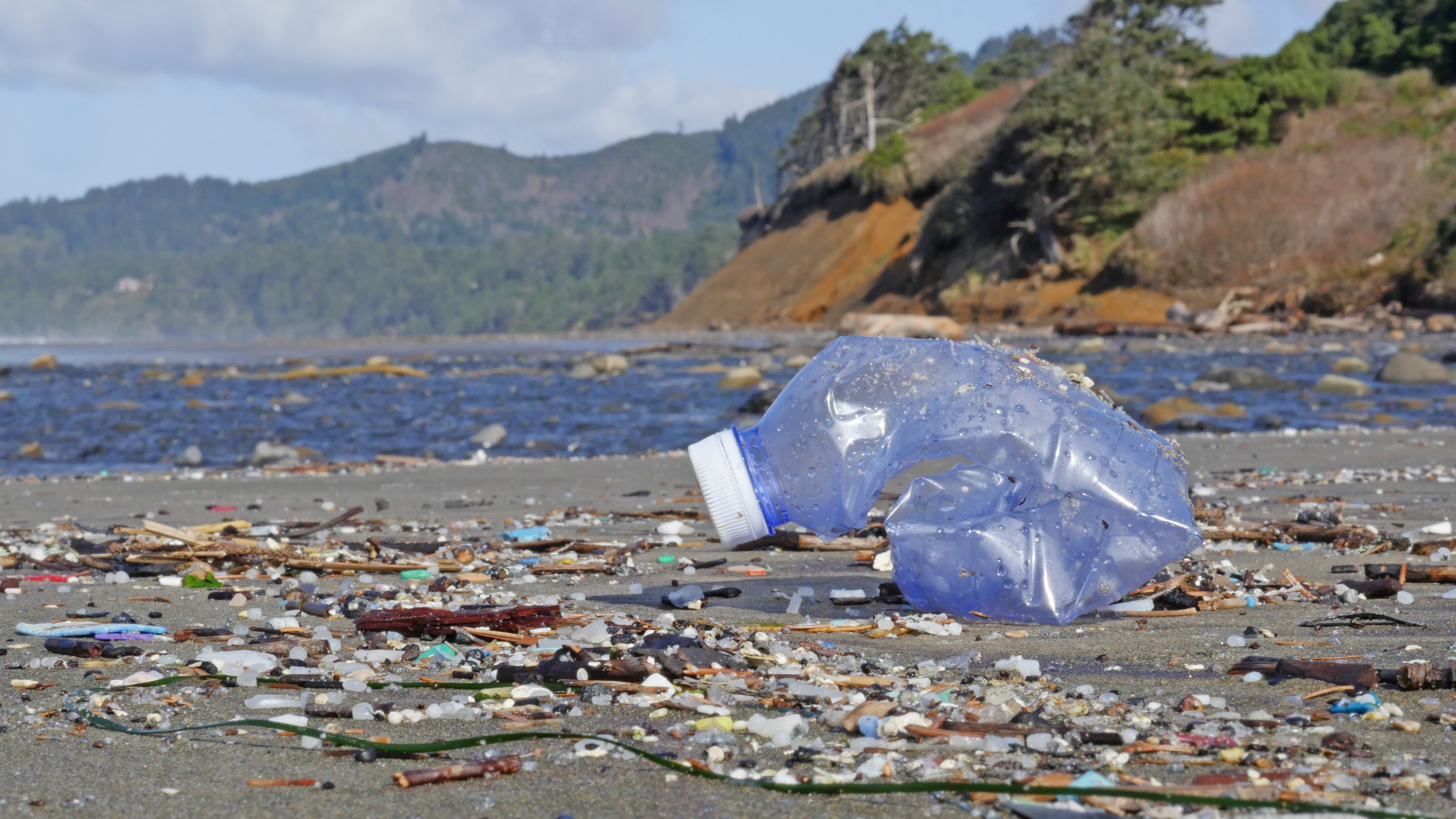A plastic water bottle sits on the sandy shore of Beverly Beach, Oregon, with bits of debris and other trash around it, and rocky, tree-covered coastline and the Pacific Ocean in the background.