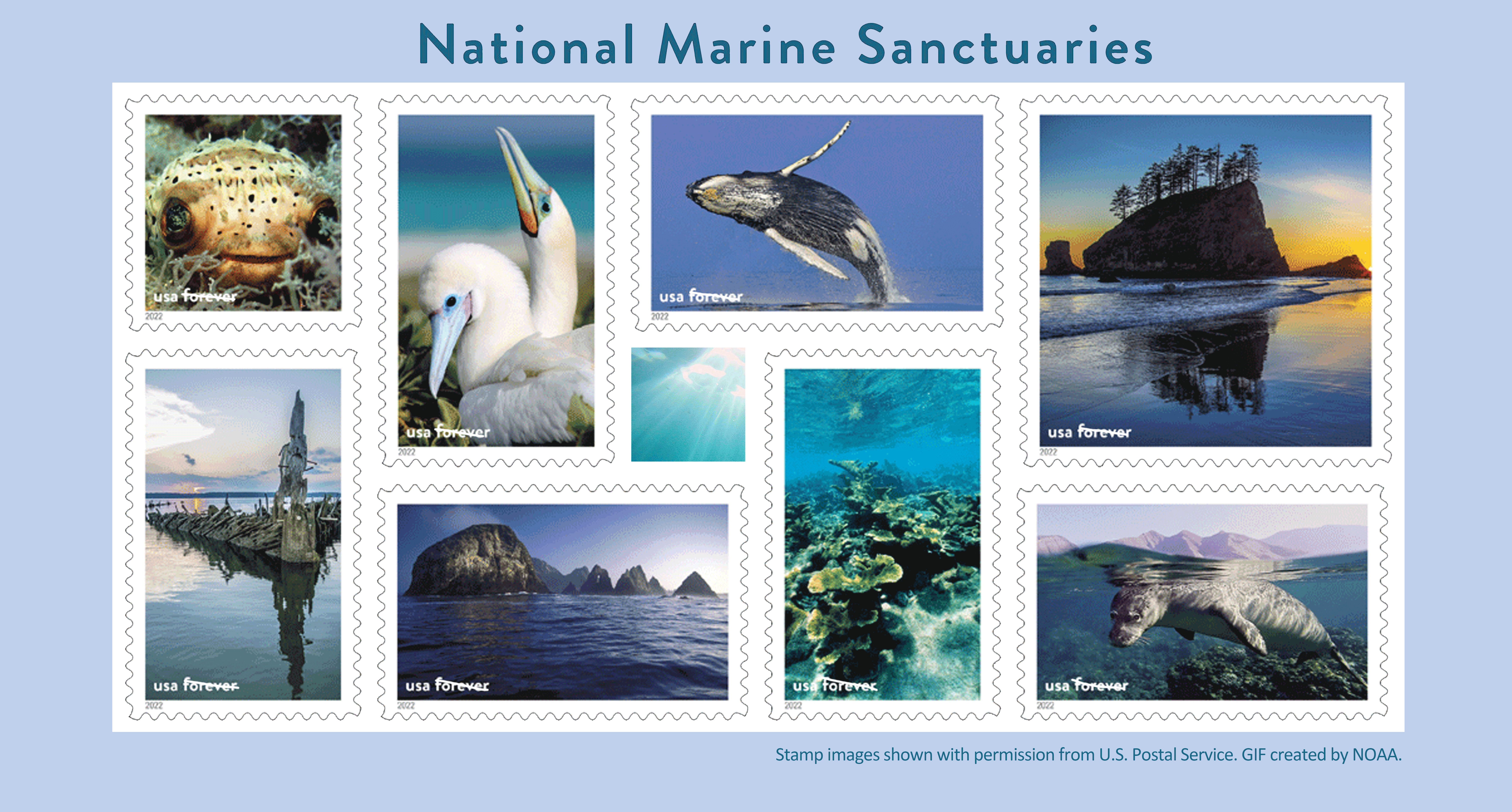 Animation (GIF) showcasing the set of 16 new National Marine Sanctuaries Forever® stamps feature scenes from NOAA’s National Marine Sanctuaries. 
