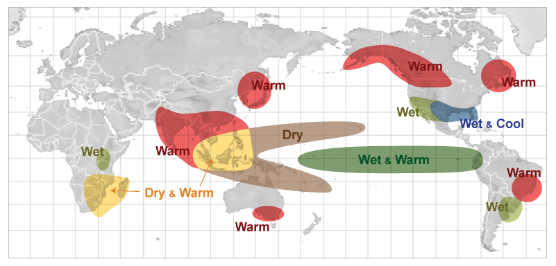 El Niño effects during December through February