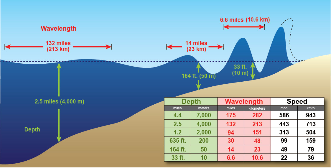 Cross section of a tsunami as its long waves move through the ocean and compress as they approach the coast.