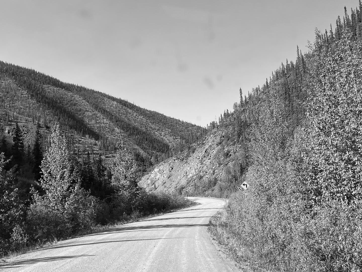 Black and white photo of a narrow dirt road surrounded by shrubs on a rocky mountain side that transitions into an evergreen forest. The thin, short evergreens form nearly evenly spaced points along the mountainside. On the left, ridges and valleys run towards the top of the mountain. Trees appear to be more densely packed in the valleys, which creates an appearance of stripes of dense and bare forest.