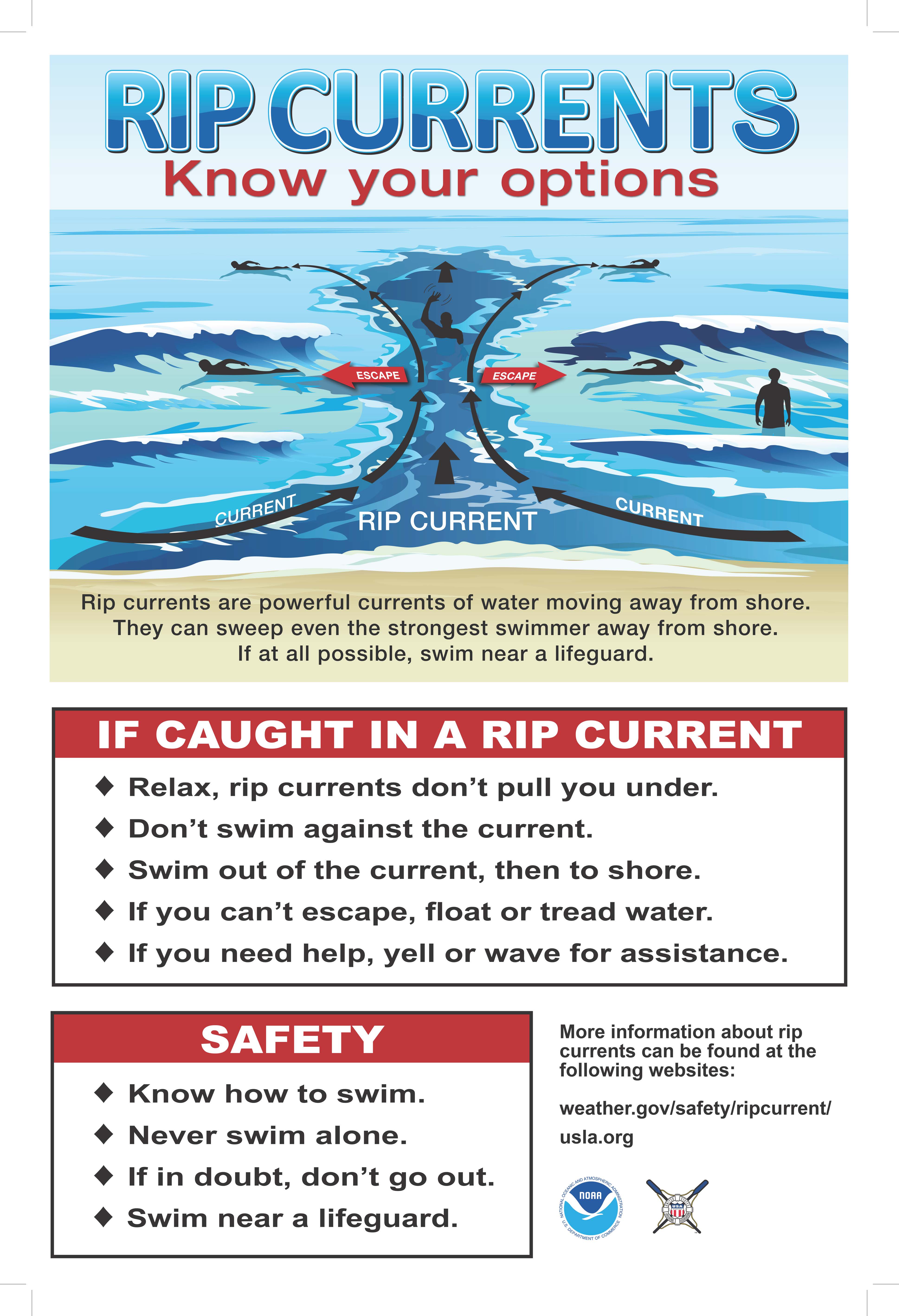 Windy Weather Means Warnings And High Surf. We Have Some Safety Tips