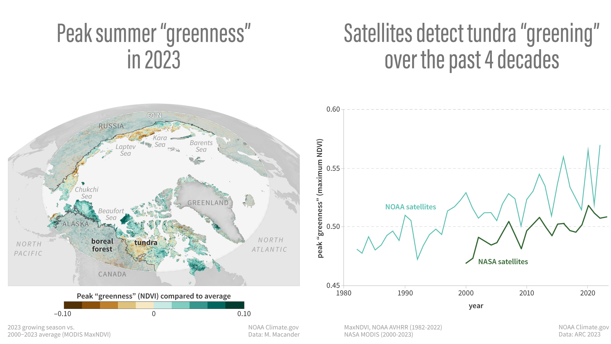 Εικόνα που δείχνει (χάρτης) Η κορυφαία καλοκαιρινή «πράσινη» — μια δορυφορική μέτρηση της ποσότητας και της υγείας της βλάστησης — ήταν υψηλότερη από το μέσο όρο στην τούνδρα το καλοκαίρι του 2023, με ιδιαίτερα υψηλές τιμές (πιο σκούρο πράσινο) στη Βόρεια Αμερική Αρκτική.  (γραφική παράσταση) Η κορύφωση της «πράσινης» που φτάνει κάθε καλοκαίρι στην τούνδρα έχει αυξηθεί με την πάροδο του χρόνου.