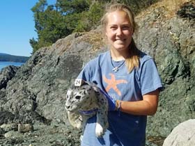 Lizzy Ashley, a 2017 NOAA Hollings scholar, is about to release a stranded harbor seal pup after a health assessment.