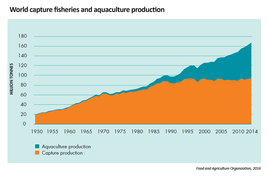 World capture fisheries and aquaculture production.