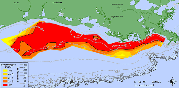 At 8,776 square miles, this year's dead zone in the Gulf of Mexico is the largest ever measured.