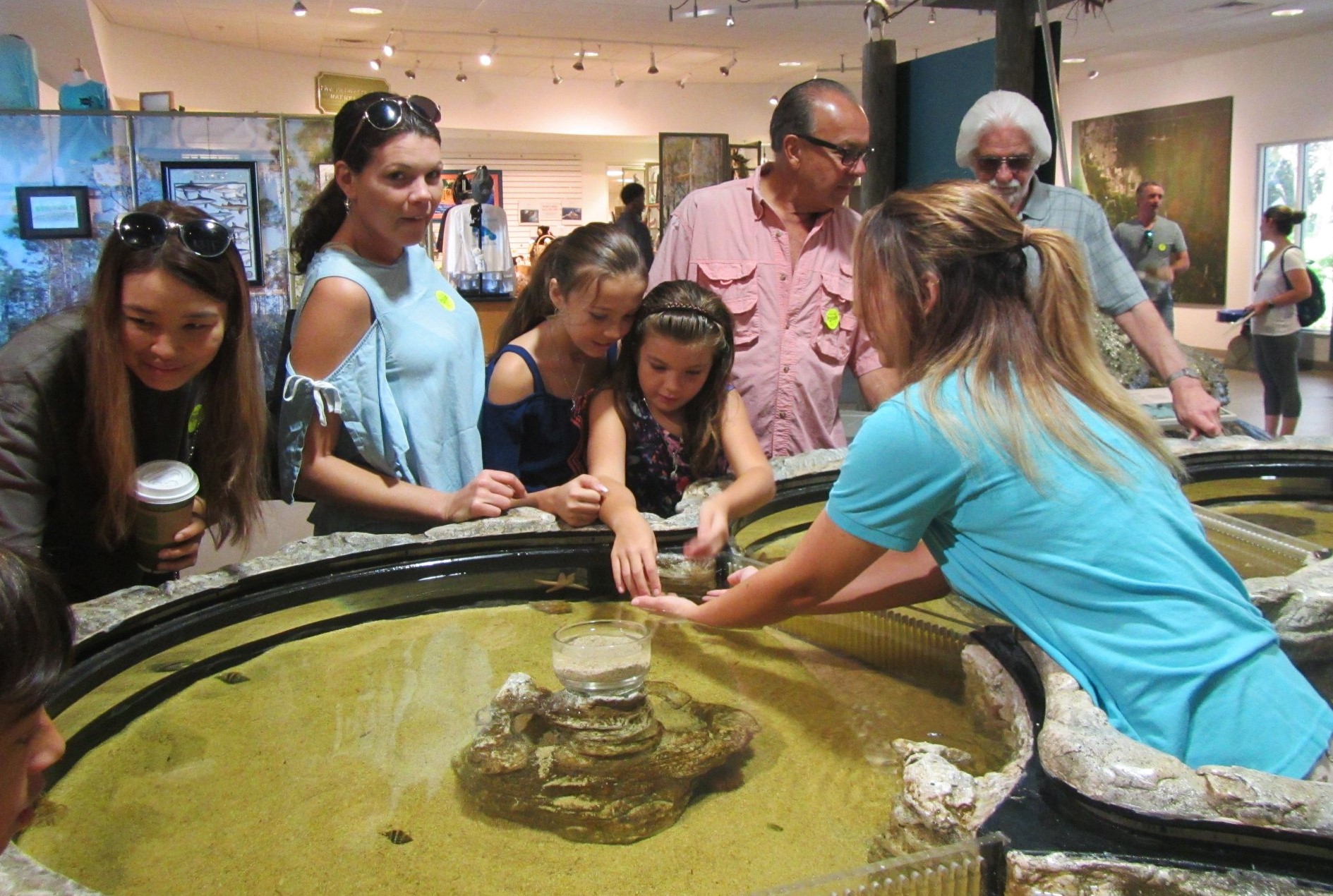 Children interact with some of Florida’s local marine life through a touch tank. The Rookery Bay National Estuarine Research Reserve celebrated National Estuaries Day on September 29 by inviting the public to experience the estuary through crafts, exhibits, kayaks, boat rides, and more—all free of charge.